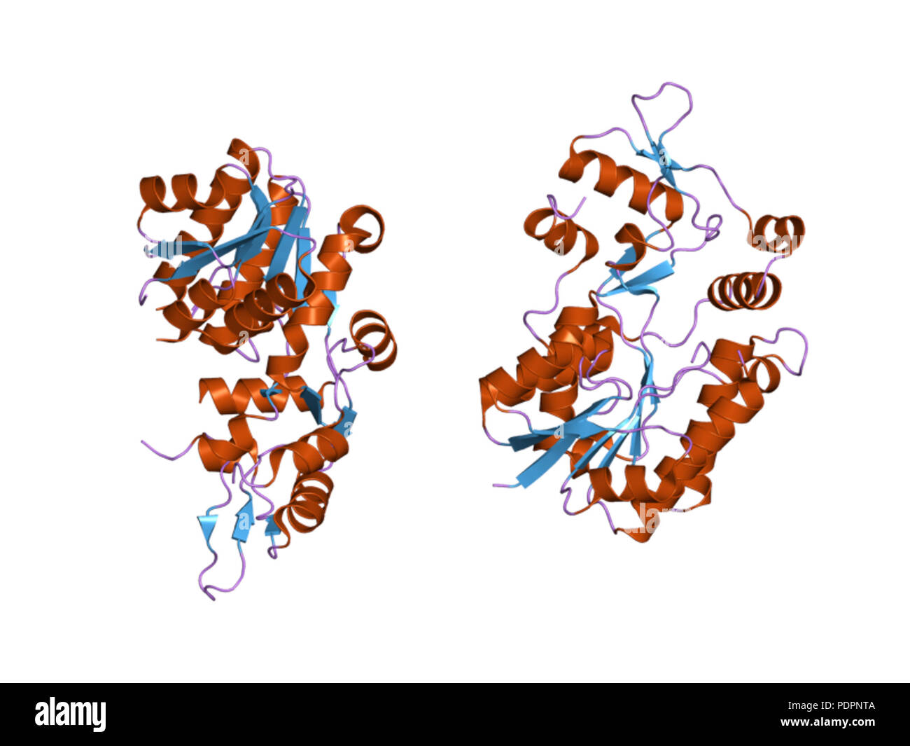 274 PDB 3EBI dxf Foto Stock