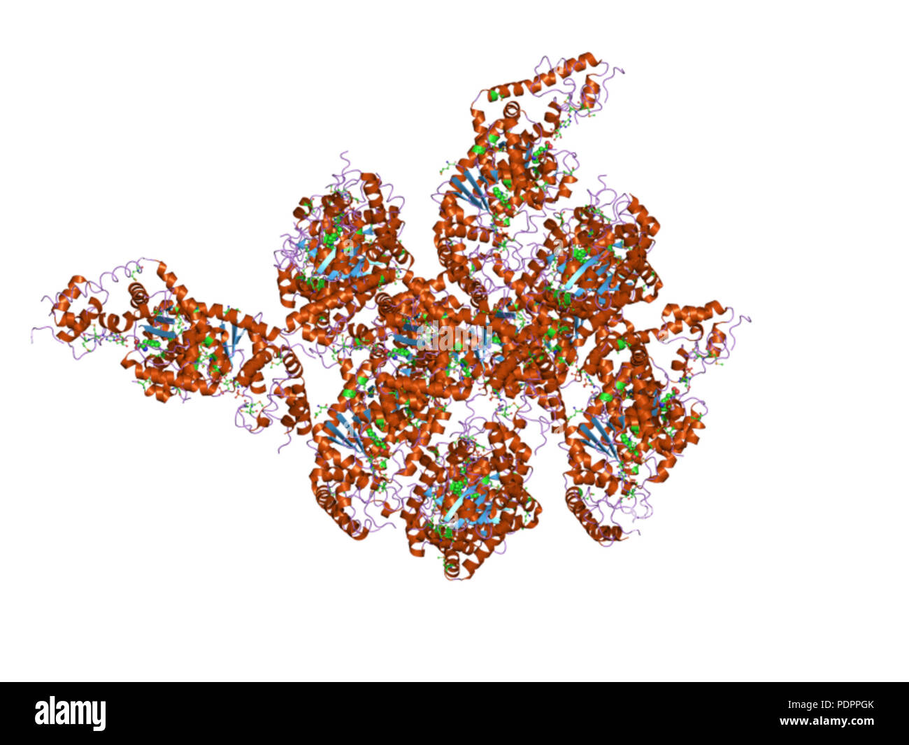 281 PDB 3fi0 EBI Foto Stock