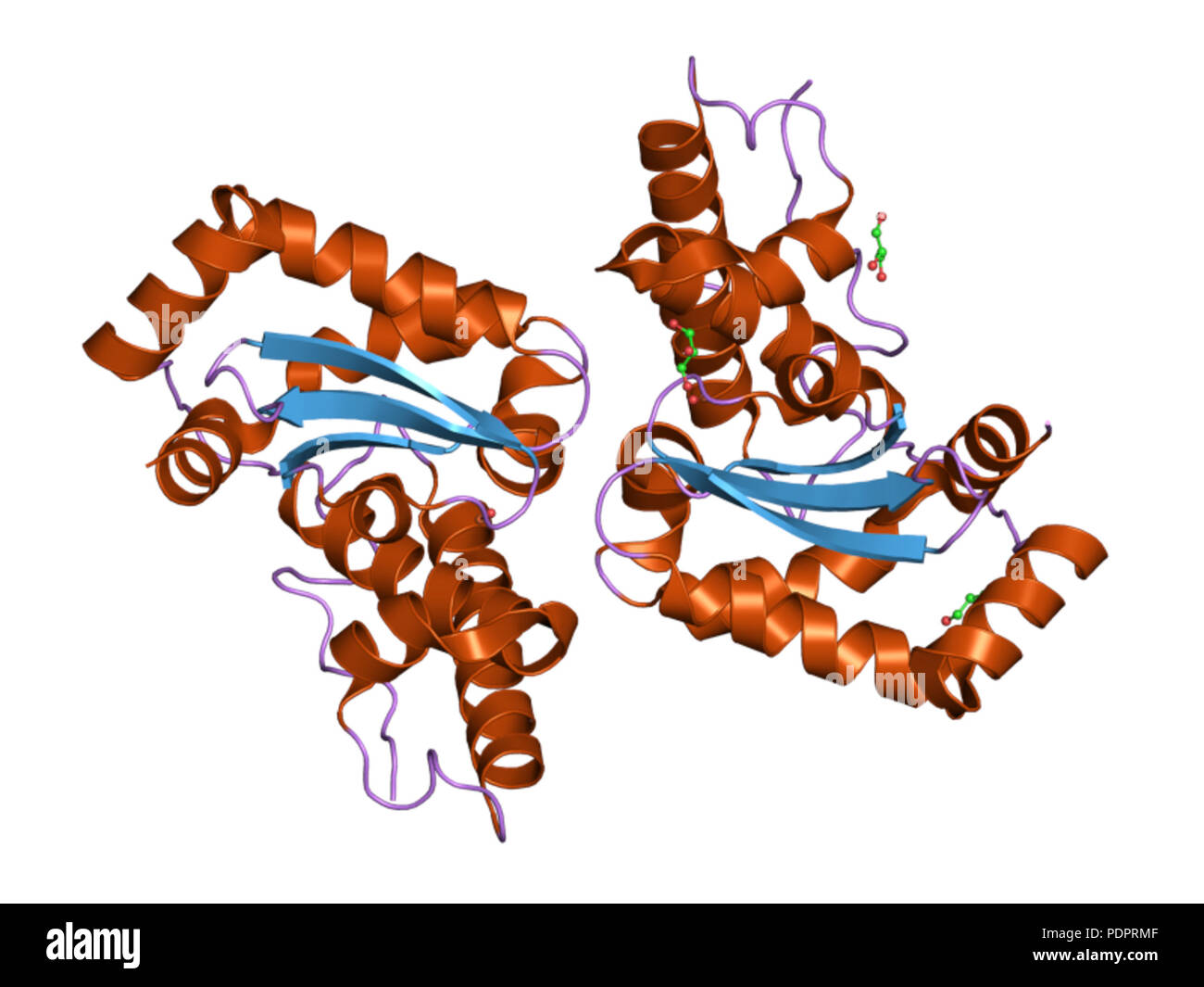 286 PDB 3h1s EBI Foto Stock