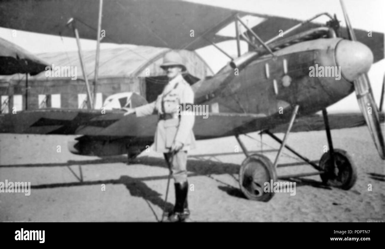 11 Albatros D III fighter in Palestina 1918 Foto Stock