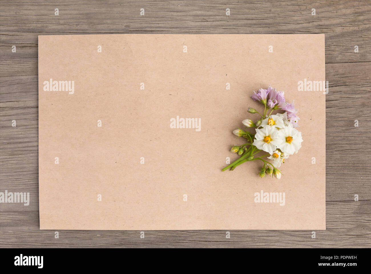 Patate bianche e fiori viola con artigianato carta bianca sul vecchio grunge sfondo di legno. Vista dall'alto. In stile minimalista mockup. Foto Stock