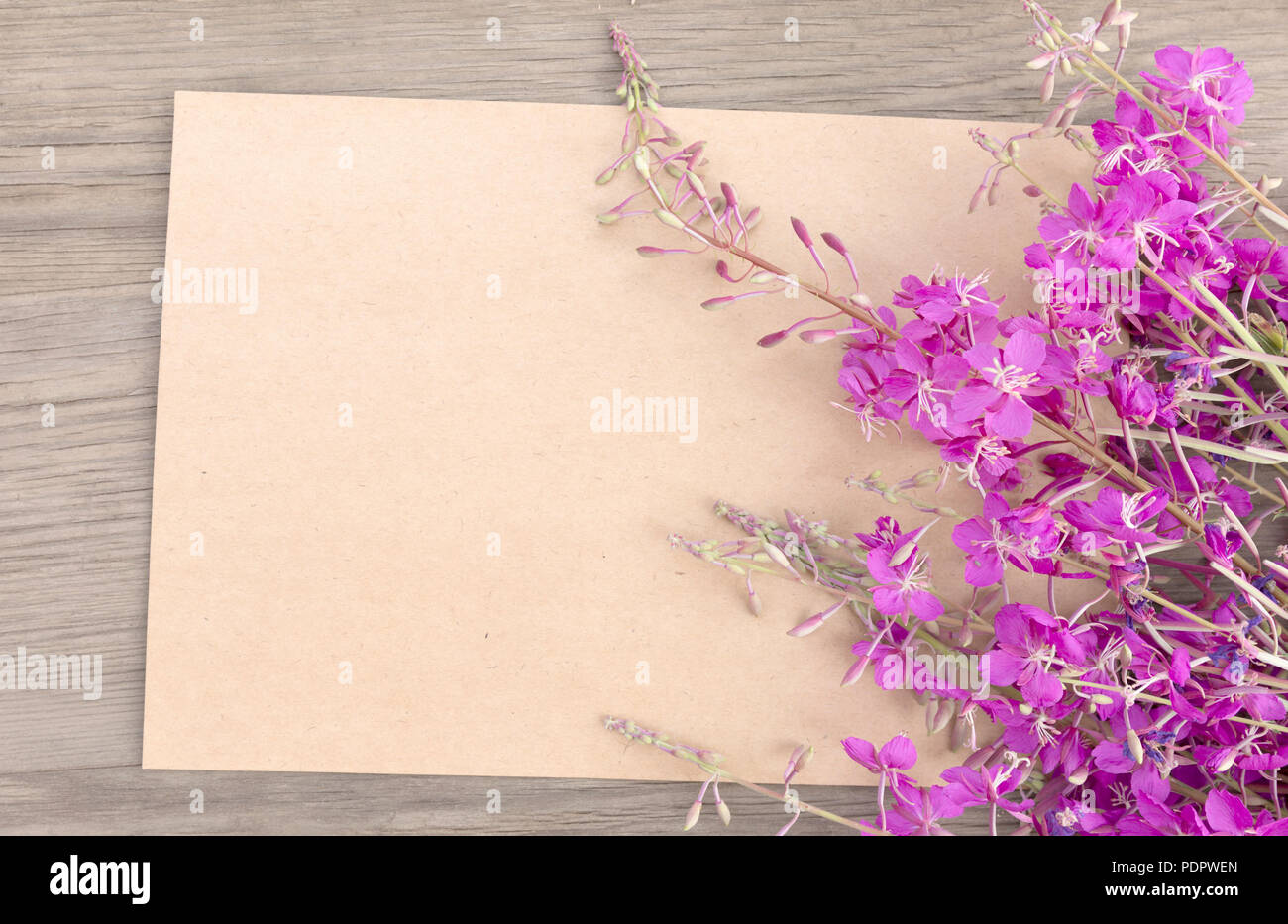 Blooming sally fiori viola con artigianato Carta vuota sul vecchio grunge sfondo di legno. Vista dall'alto. In stile minimalista mockup. Foto Stock