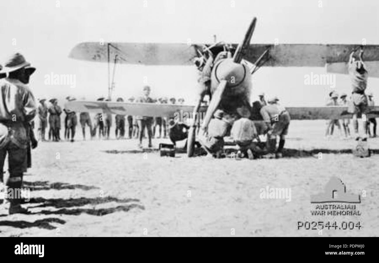 21 AWMP0544.004AlbatrosD5 Foto Stock