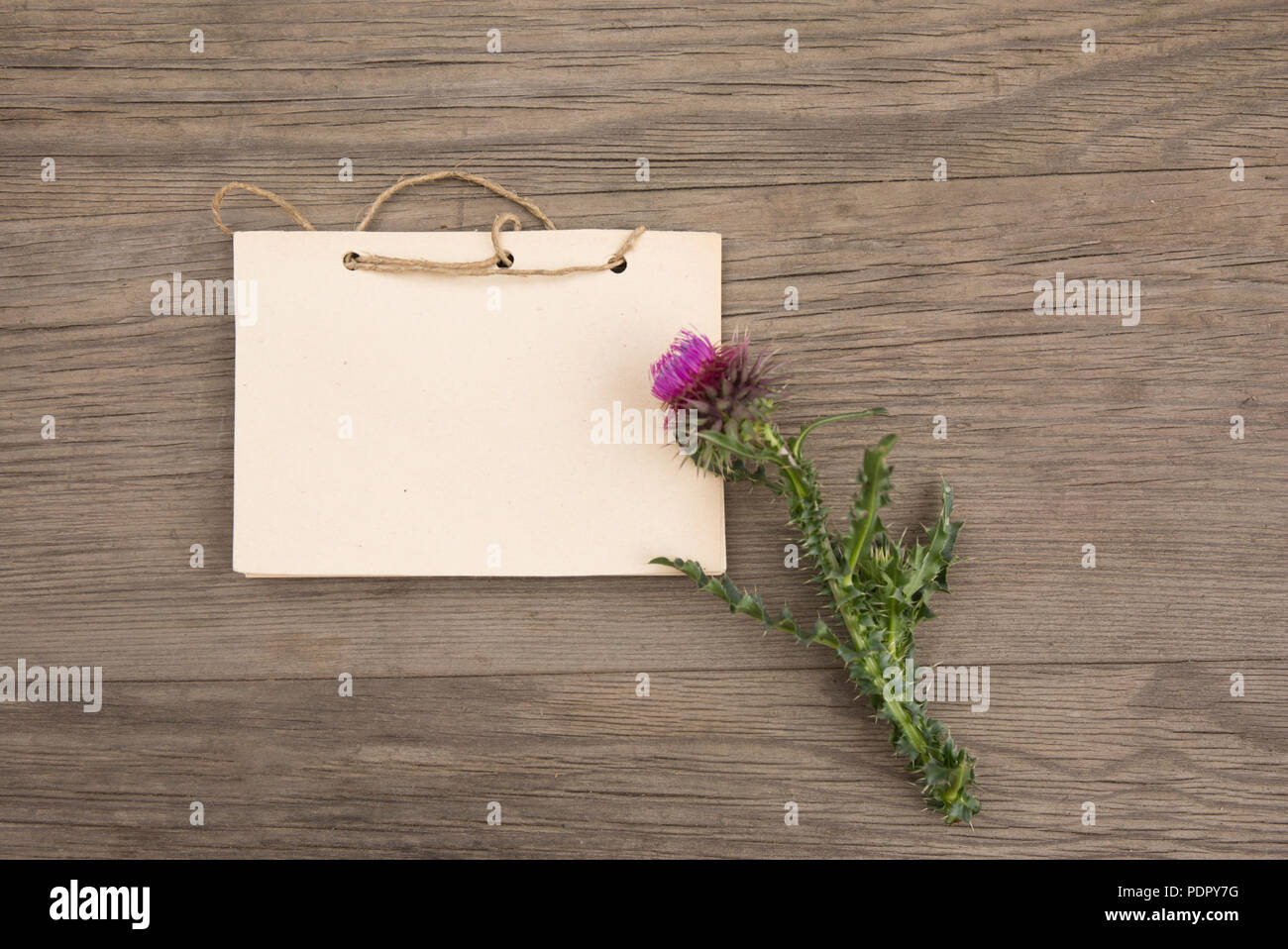 Viola con fiori di campo artigianali fatti a mano notebook sul vecchio grunge sfondo di legno. Vista dall'alto. In stile minimalista mockup Foto Stock