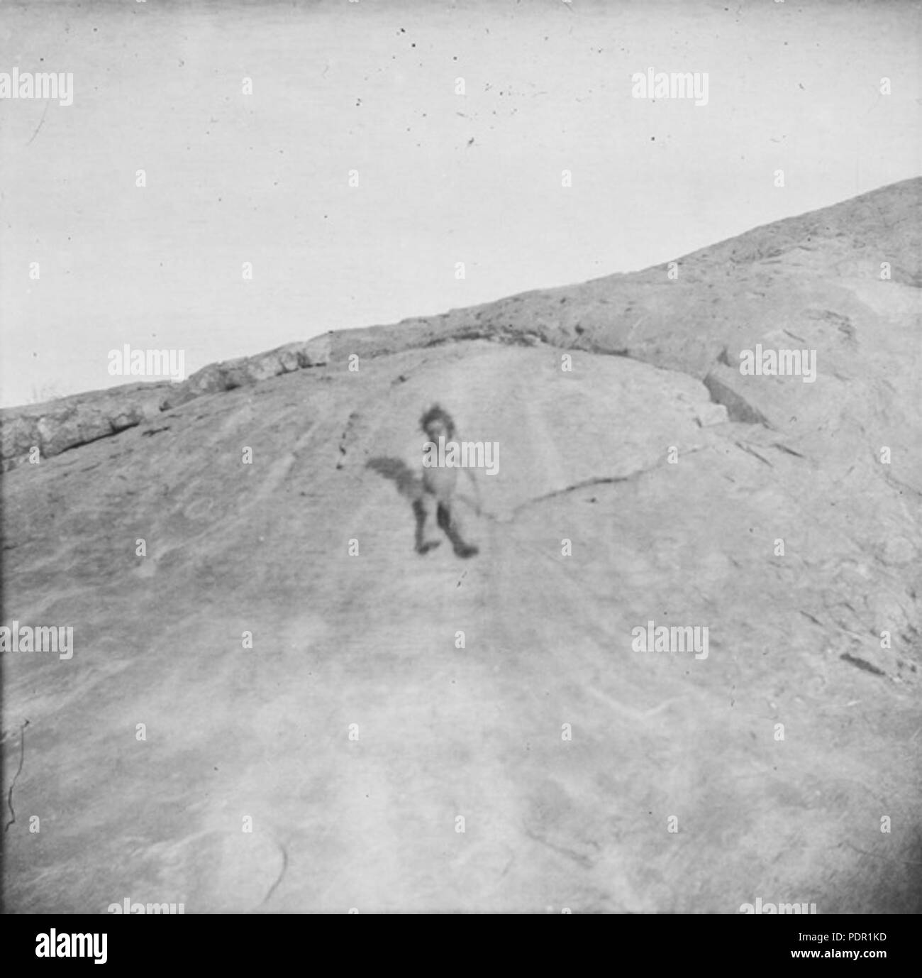 51 ragazza toboga verso il basso una pendenza di granito, fotografia di H. Basedow Foto Stock