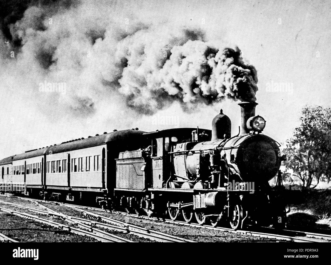 91 NSWGR Classe C30T locomotore Foto Stock