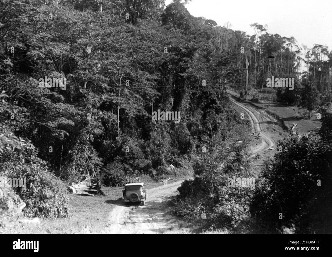 101 Queensland Archivi di Stato 1311 sulla strada da Ravenshoe a Tully cade c 1935 Foto Stock