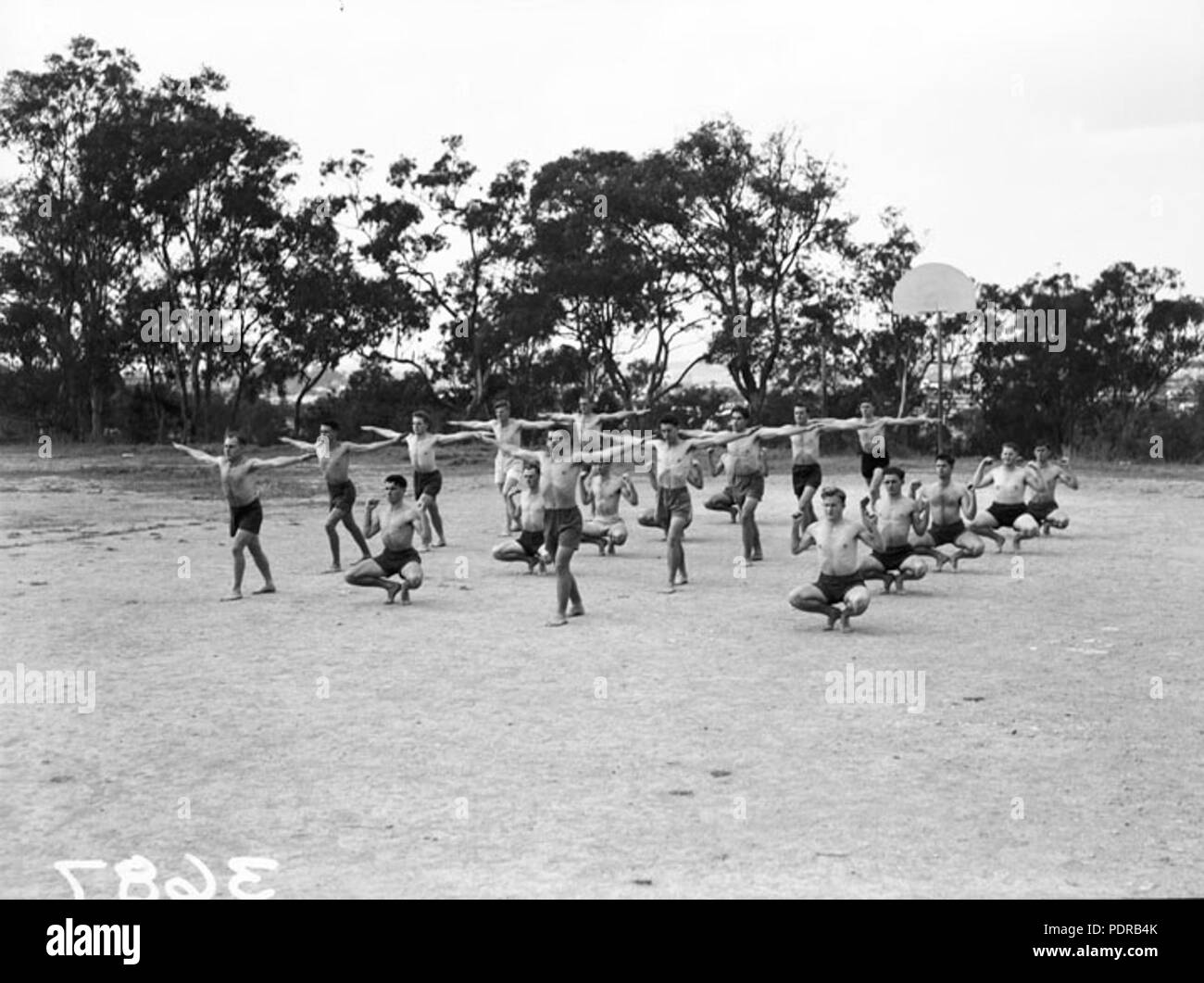 103 Queensland Archivi di Stato 1643 insegnanti Training College mens educazione fisica Brisbane Aprile 1951 Foto Stock