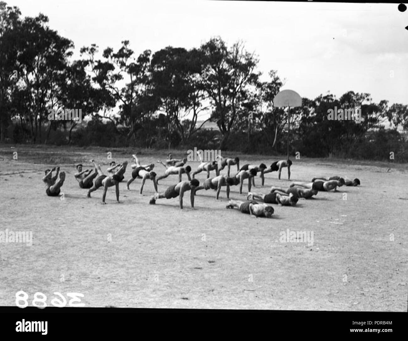 103 Queensland Archivi di Stato 1644 insegnanti Training College mens educazione fisica Brisbane Aprile 1951 Foto Stock