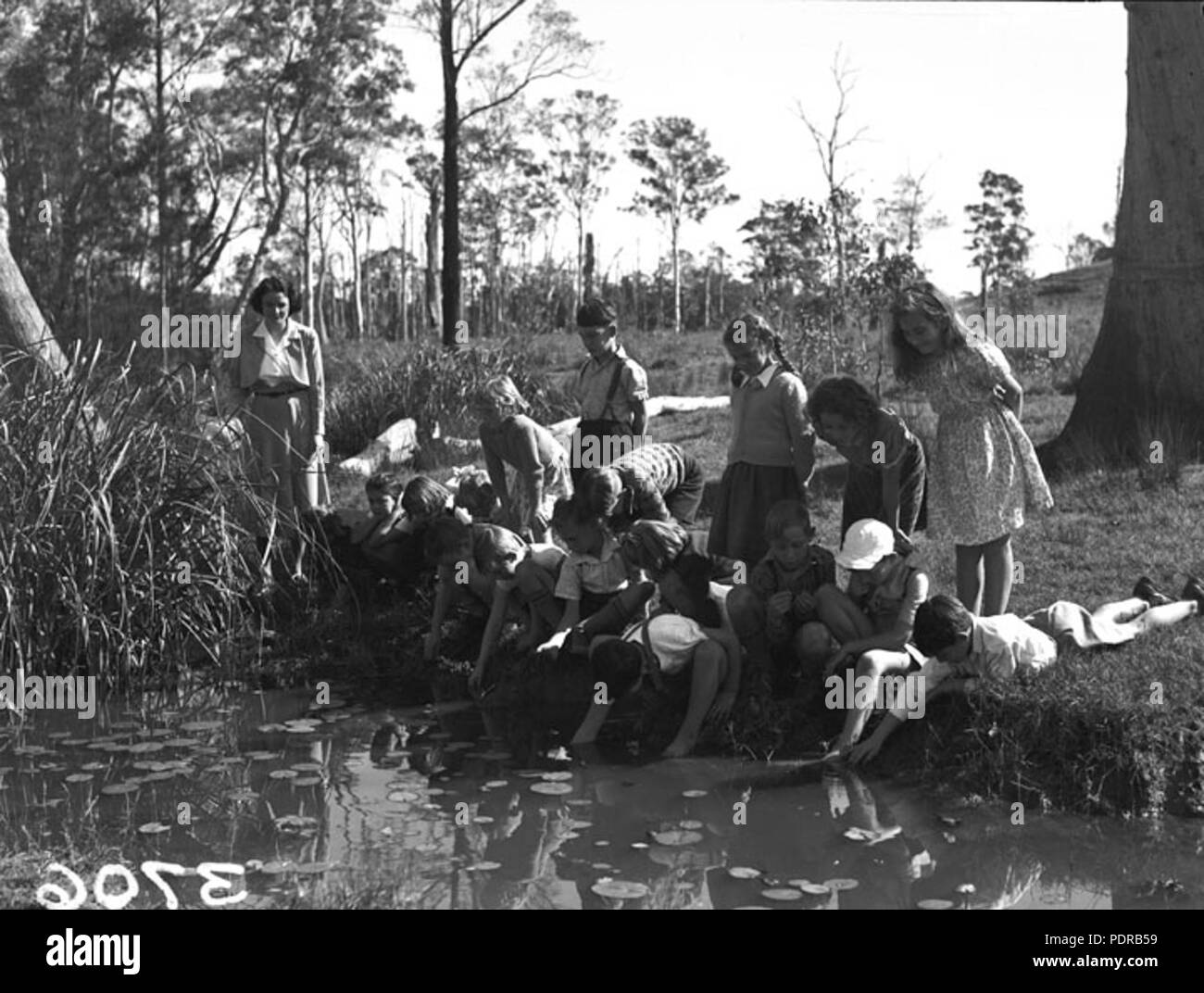 103 Queensland Archivi di Stato 1656 pantaloni Creek scuola statale per lo studio della natura ramble Aprile 1951 Foto Stock