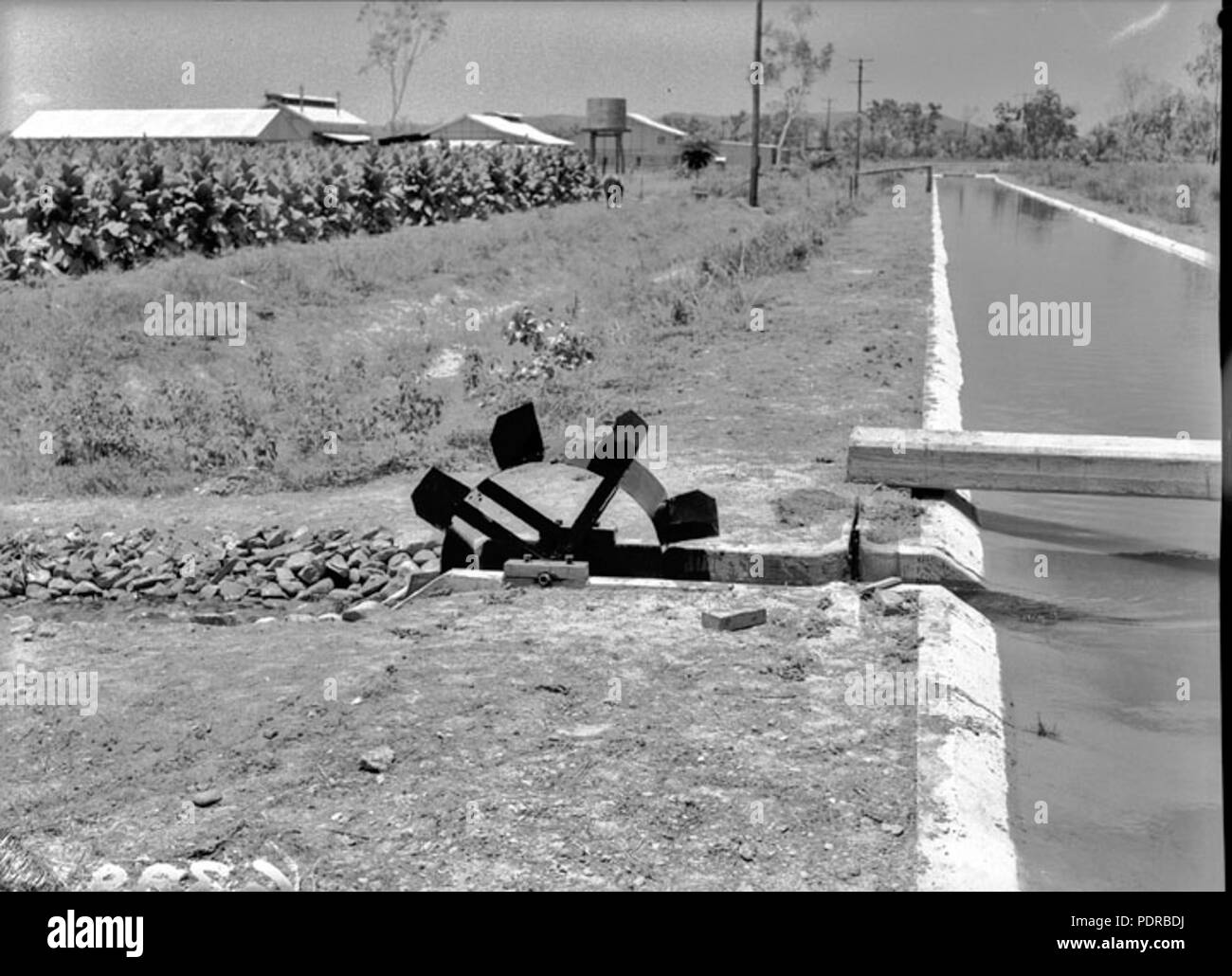 104 Queensland Archivi di Stato 1836 canali di irrigazione Burdekin Novembre 1955 Foto Stock