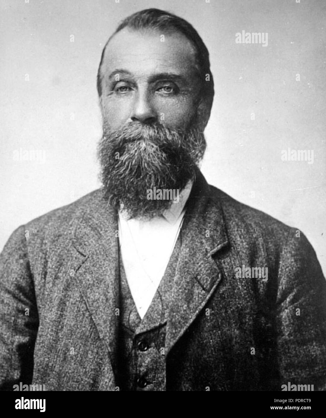 113 Queensland Archivi di Stato 3943] ritratto del Signor Peter McLean prima Sotto Segretario del Dipartimento dell'agricoltura c 1890 Foto Stock