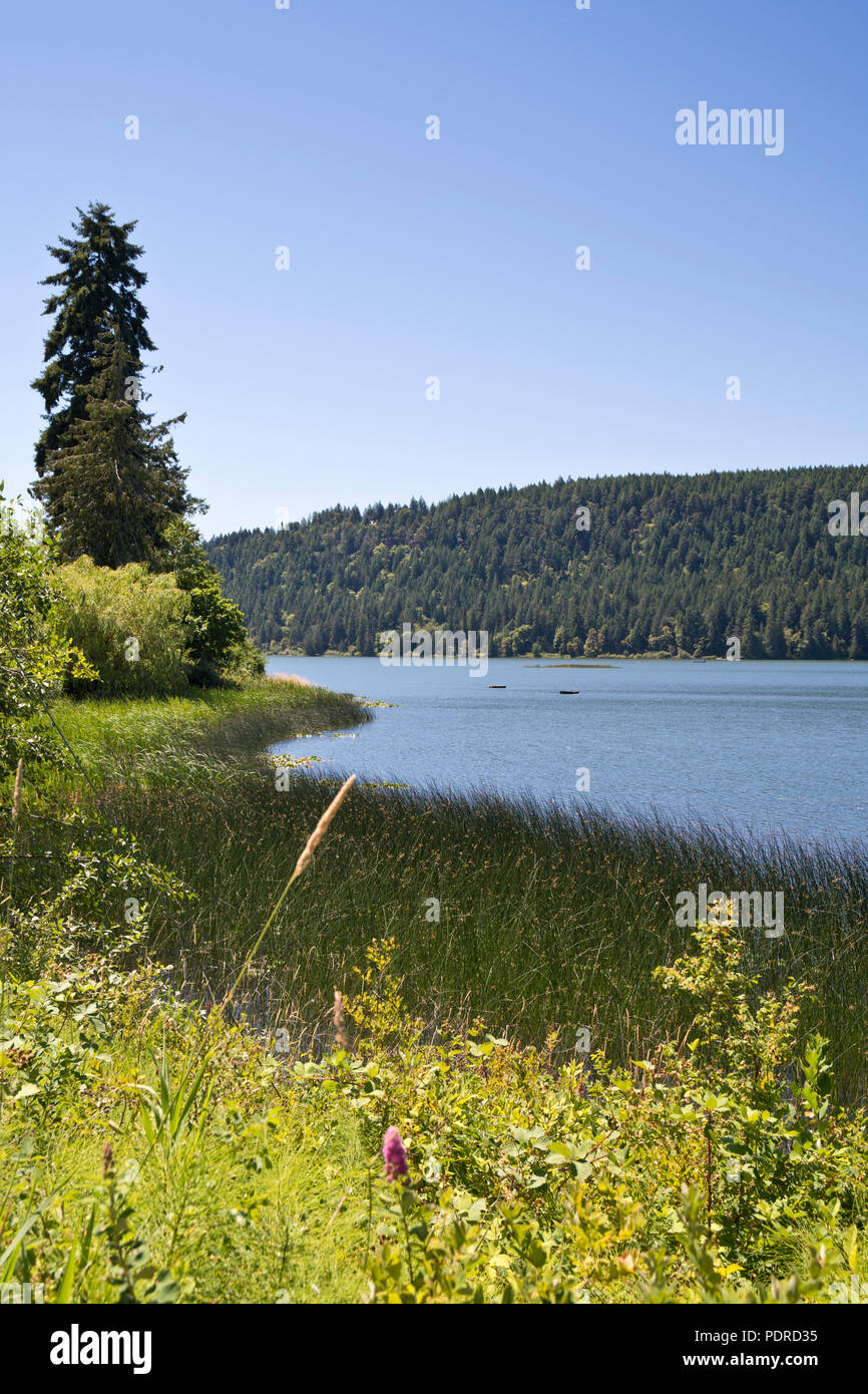 St. Mary's Lake sull'isola di Salt Spring, British Columbia, Canada. Bellissimo lago su una delle Isole del Golfo del Sud. Salt Spring Island, British Columbia. Foto Stock