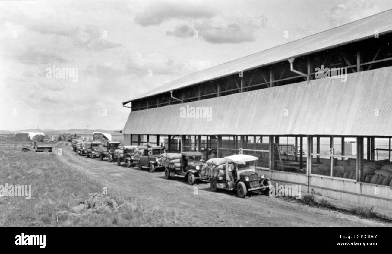 114 Queensland Archivi di Stato 4155 sacchi di grano che viene erogata dal motore dei veicoli al capannone della granella Bongeen Novembre 1934 Foto Stock