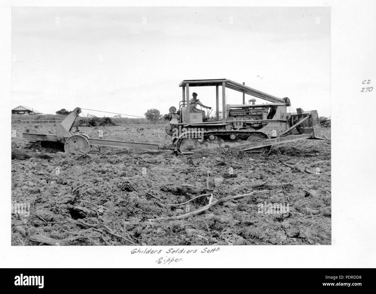 115 Queensland Archivi di Stato 4303 Ripper in azione a Childers insediamento di soldati 1950 Foto Stock