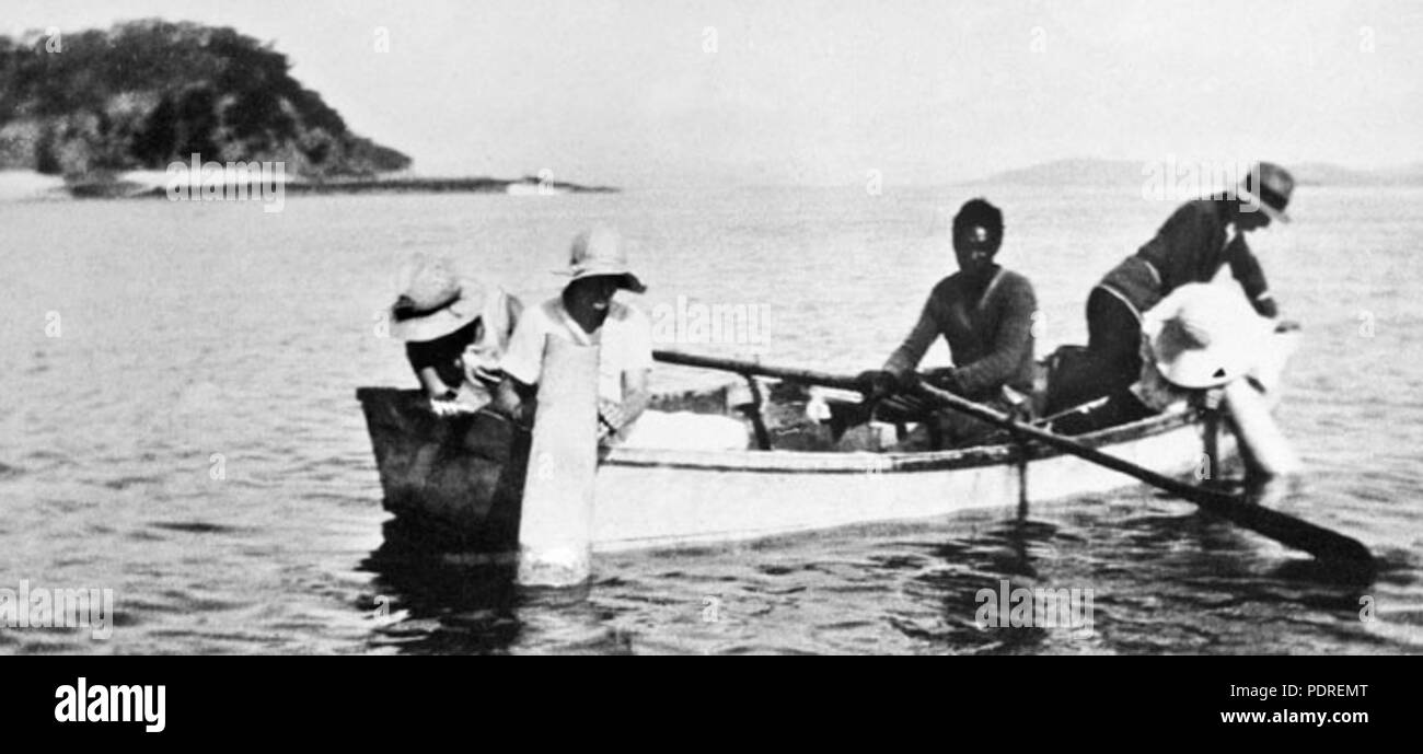 123 Queensland archivi di stato 993 Visualizzazione Coral attraverso Waterscopes poco Lindeman Island c 1931 Foto Stock