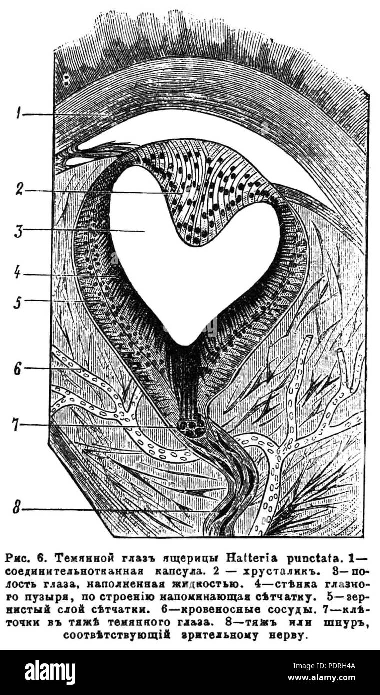 3 Brockhaus e Efron Dizionario Enciclopedico b16 815-0 Foto Stock