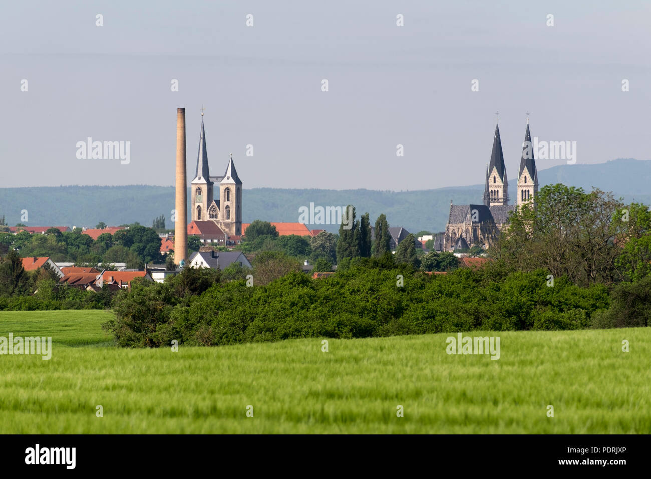 Im Hintergrund der Harz Foto Stock