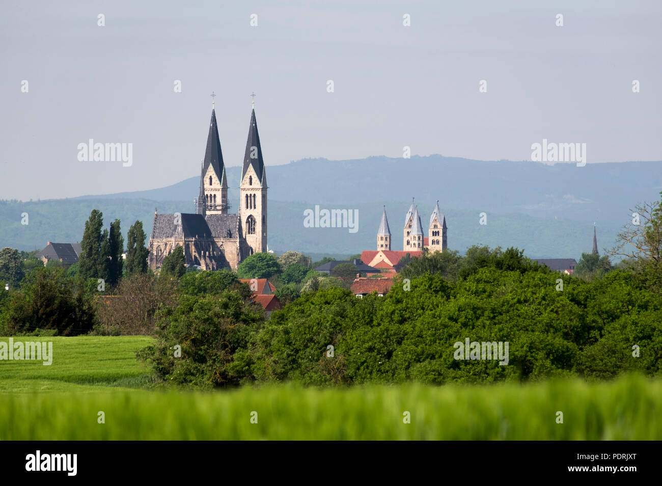 Im Hintergrund der Harz Foto Stock