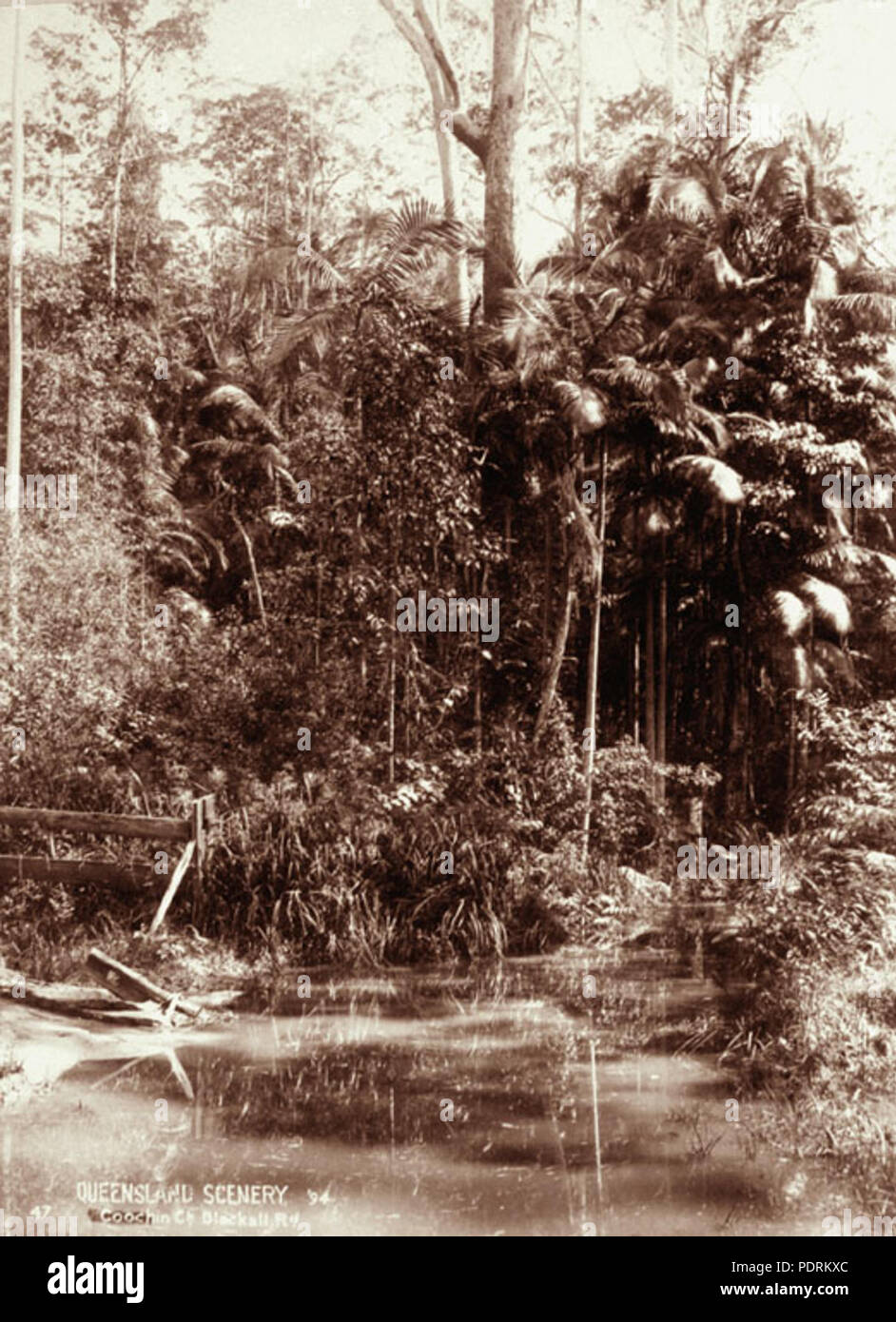 106 Queensland Archivi di Stato 2461 Coochin Creek Blackall strada c 1894 Foto Stock