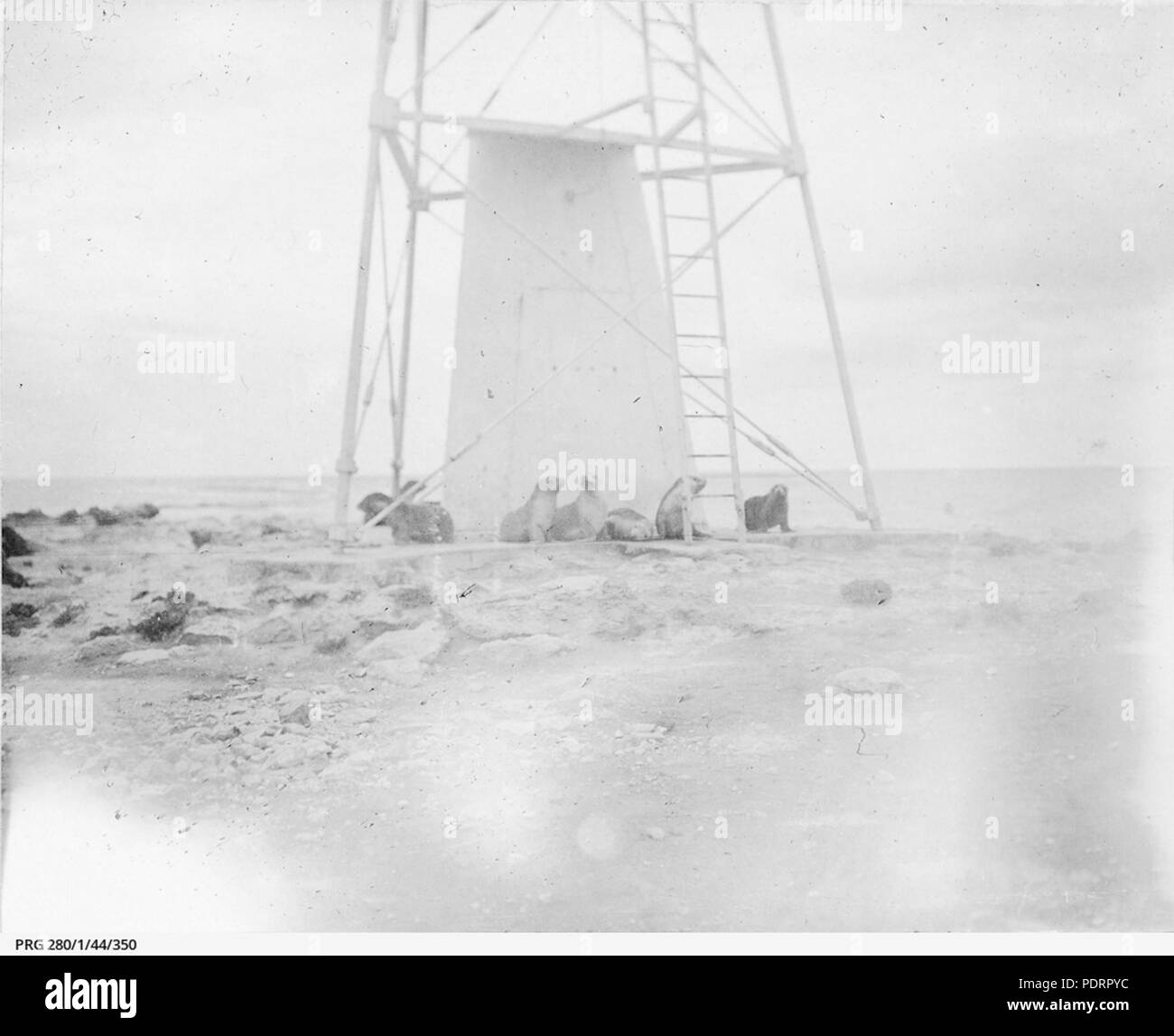 129 guarnizioni a base di Dangerous Reef il beacon (SLSA PRG-280-1-44-350) Foto Stock