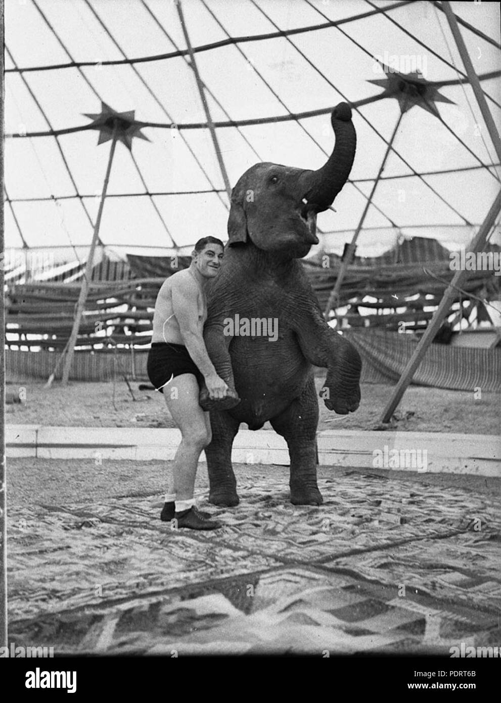 137 SLNSW 19051 Wrestler Blomfield nobili presi per Leichhardt Stadium Foto Stock