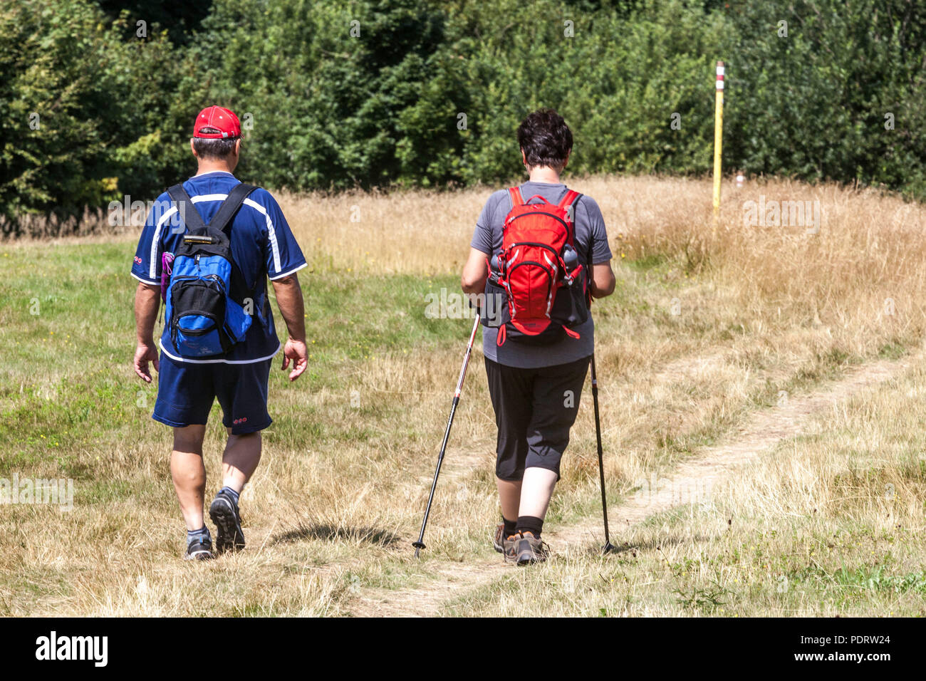 Coppie di anziani camminate nordiche all'aperto, mantenersi in forma, su un sentiero di montagna, Velka Javorina, confine ceco slovacco, stile di vita sano escursionisti anziani Foto Stock