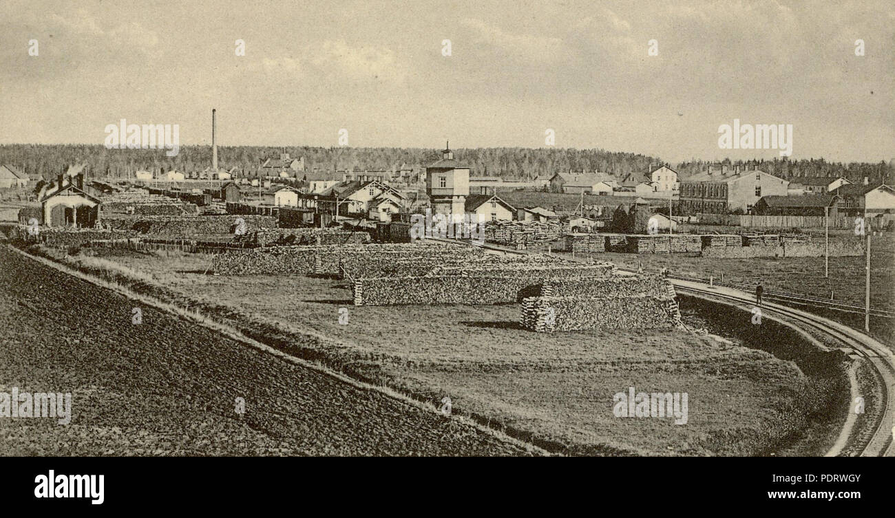 361 Türi raudteejaam 1908 Foto Stock