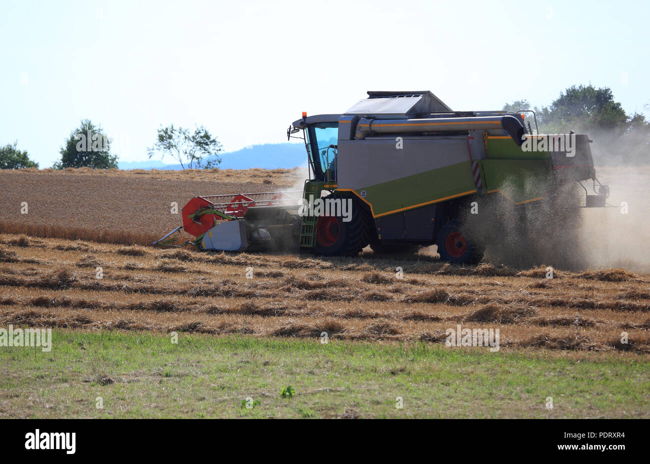 Mähdrescher bei der Weizenernte auf einem trockenen staubigen Feld Foto Stock