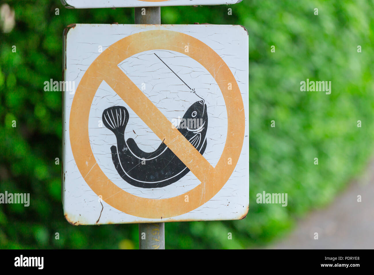 Divieto di pesca o nessun segno di pesca nel parco verde Foto Stock