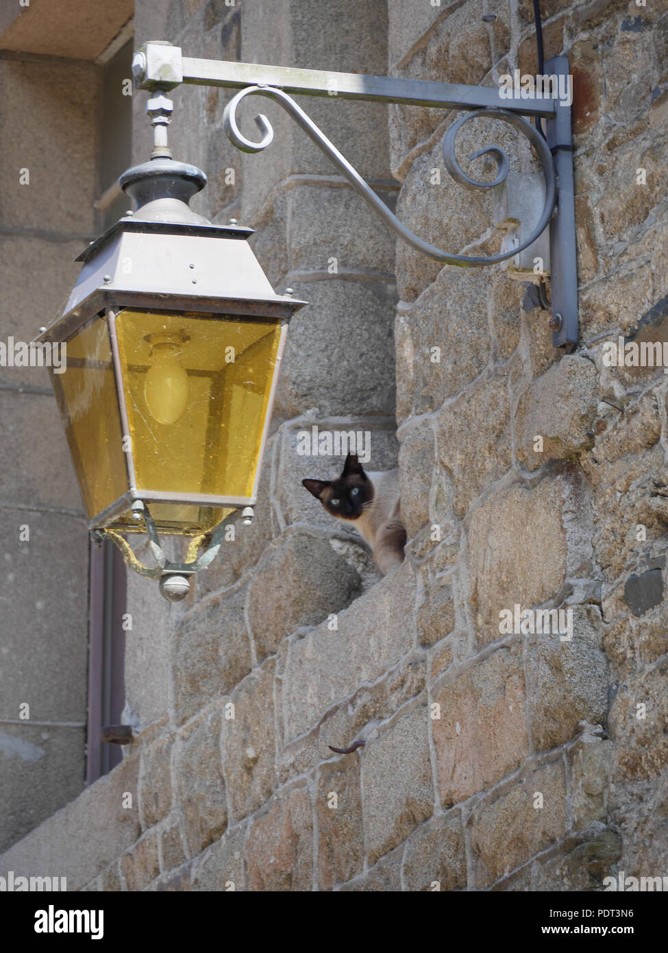 Gatto sembra fuori da una finestra in una vecchia città francese Foto Stock