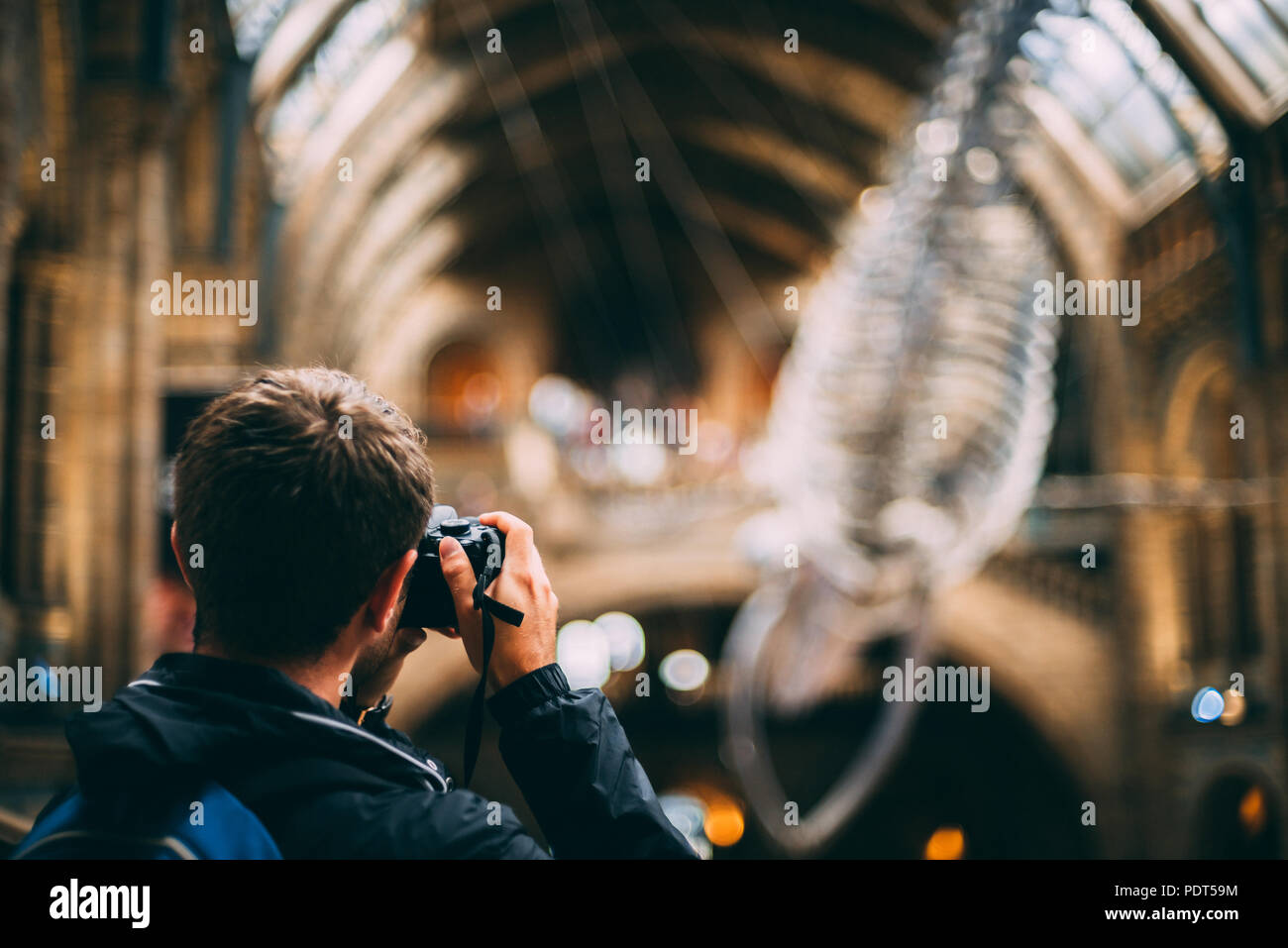 Museo di Storia Naturale di Londra Foto Stock