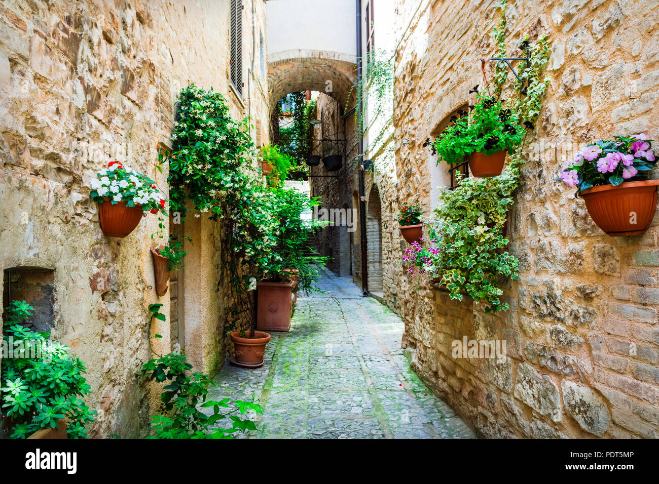 Vecchie strade di villaggio italiano,Spello,l'Umbria,l'Italia. Foto Stock