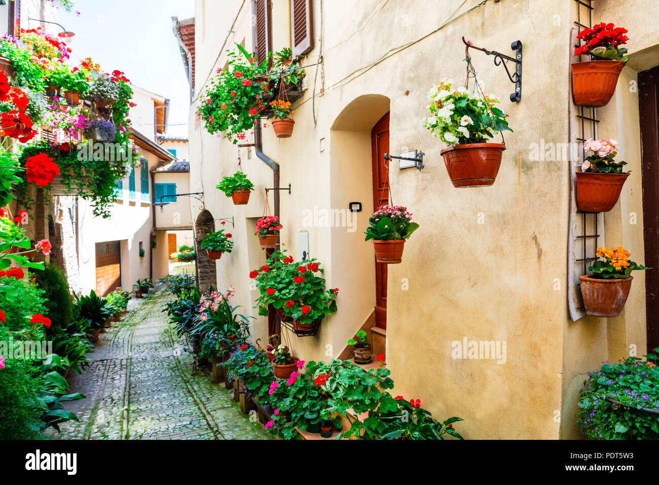 Bella Spello village,Visualizza case con la decorazione floreale,Umbria,Italia Foto Stock