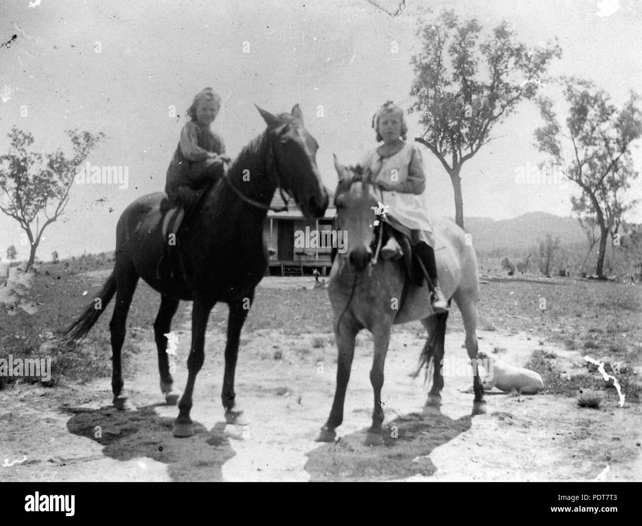 244 StateLibQld 1 ragazze 180291 su cavalli, Texas distretto, 1910-1920. Foto Stock