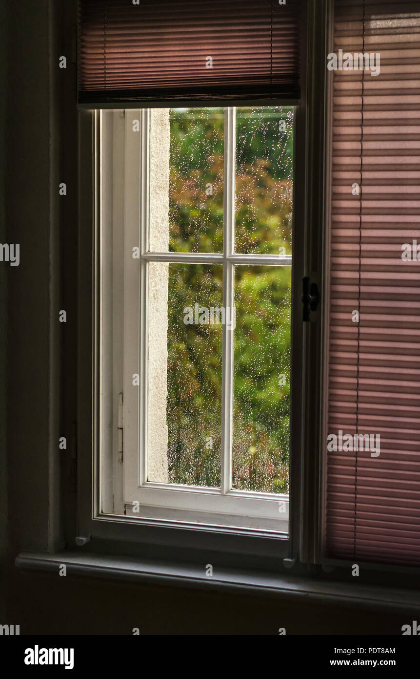 Vista fuori attraverso la vecchia finestra con sfumature, coperto con gocce di pioggia. Foto Stock