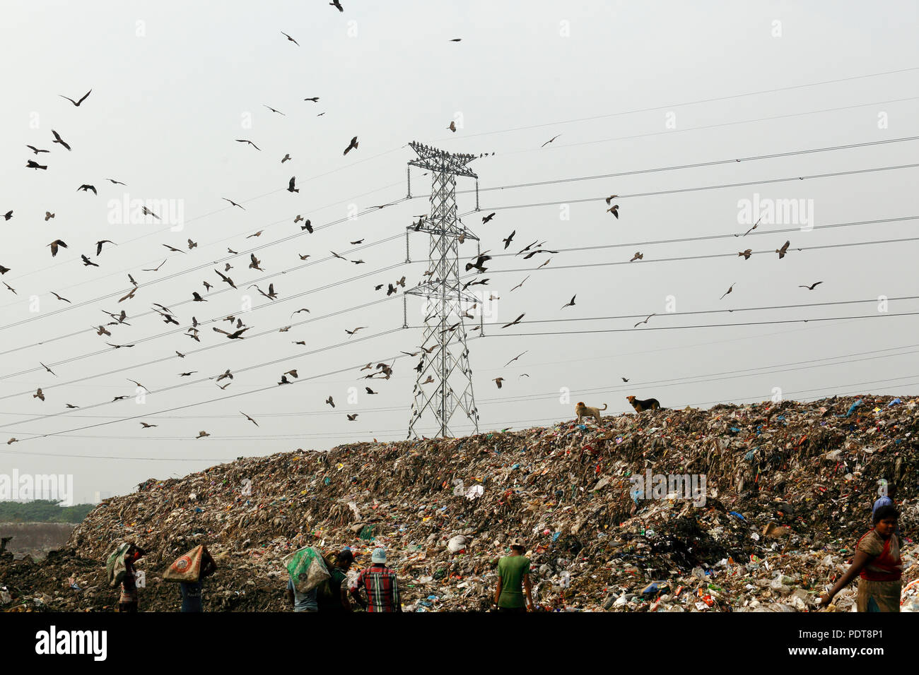 Matuail garbage dump yard a Dhaka, nel Bangladesh. Essa ha ricevuto 1500 toni di rifiuti al giorno e il sito è ora uno dei migliori esempi di una controllata w Foto Stock