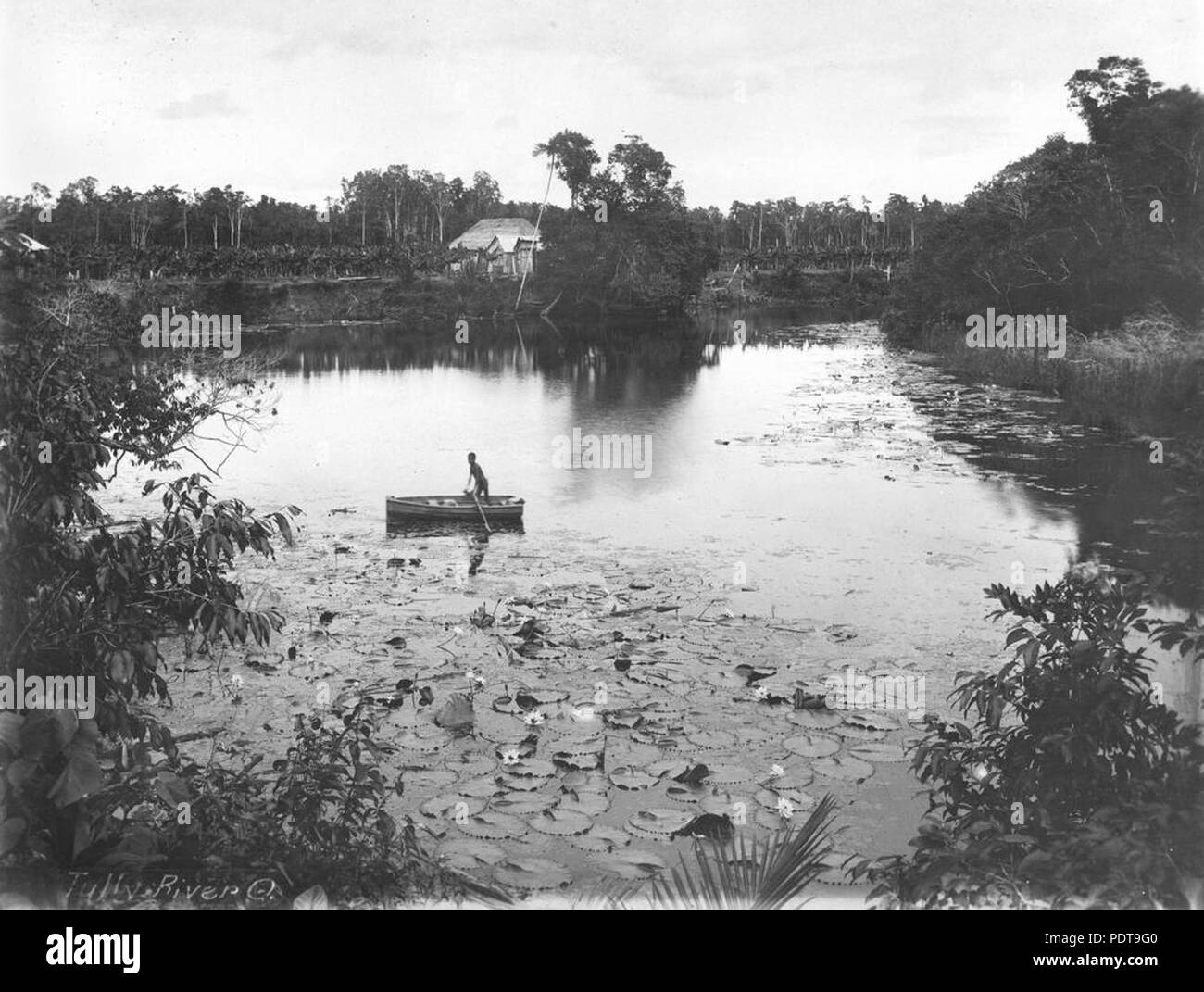 265 StateLibQld 1 395125 Lily Laguna, una laguna di acqua stagnante del Fiume Tully, ca. 1910 Foto Stock