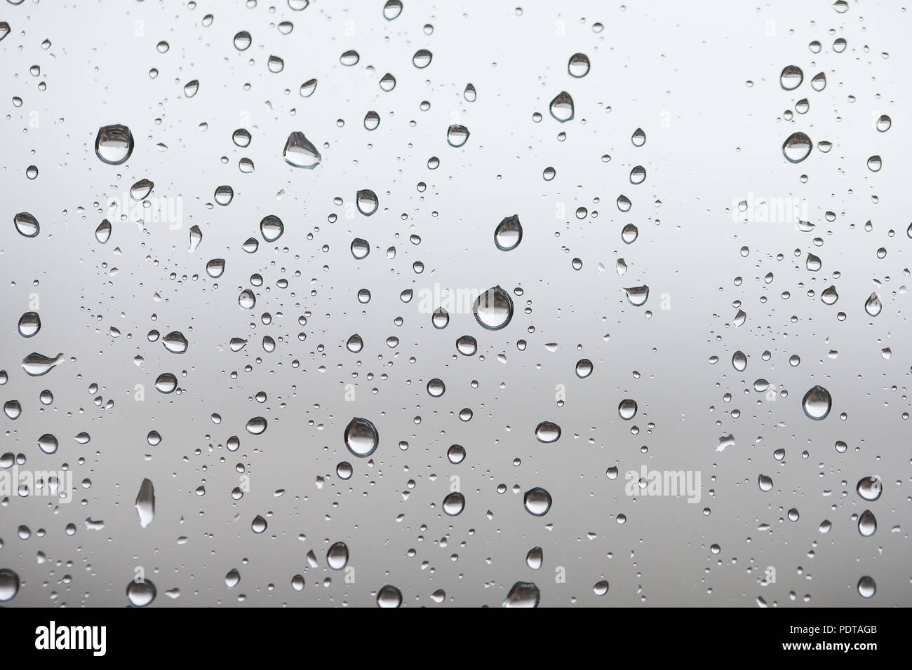 La pioggia le goccioline d'acqua, pioggia o gocce di pioggia, si depositano su una finestra di vetro durante un temporale Foto Stock