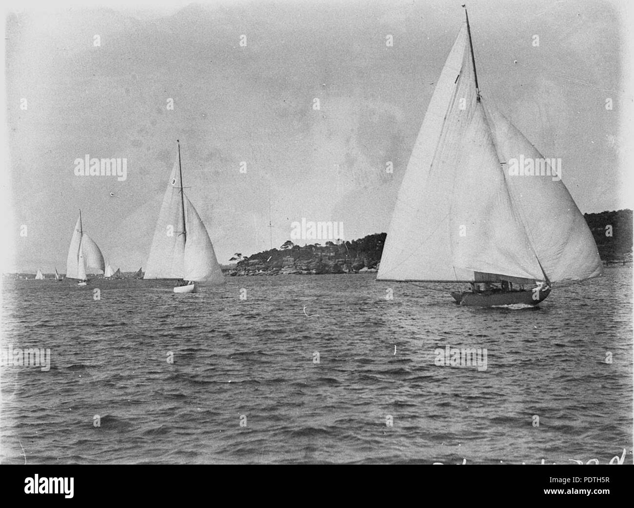 169 51423 SLNSW Yachts racing sul Porto di Sydney Foto Stock