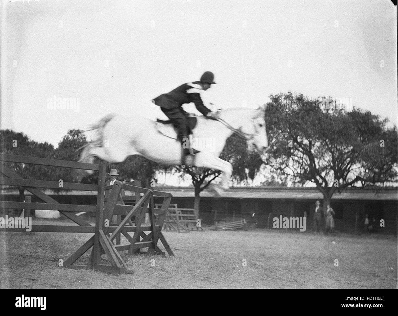 169 51506 SLNSW evento equestre Foto Stock
