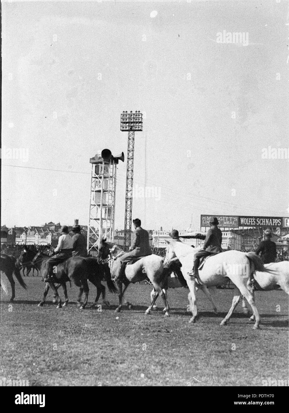 169 51561 SLNSW parata equestre Foto Stock
