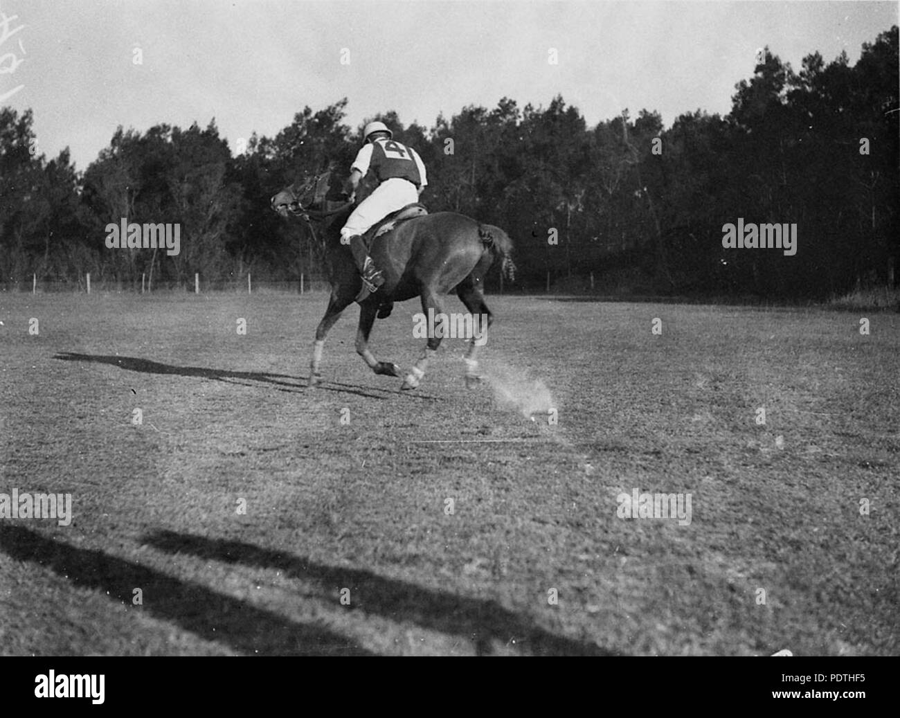 170 SLNSW 6555 Polo di Cobbitty Foto Stock