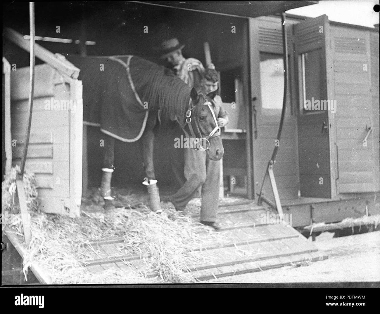 191 85794 SLNSW cavallo per chi arriva in treno Foto Stock