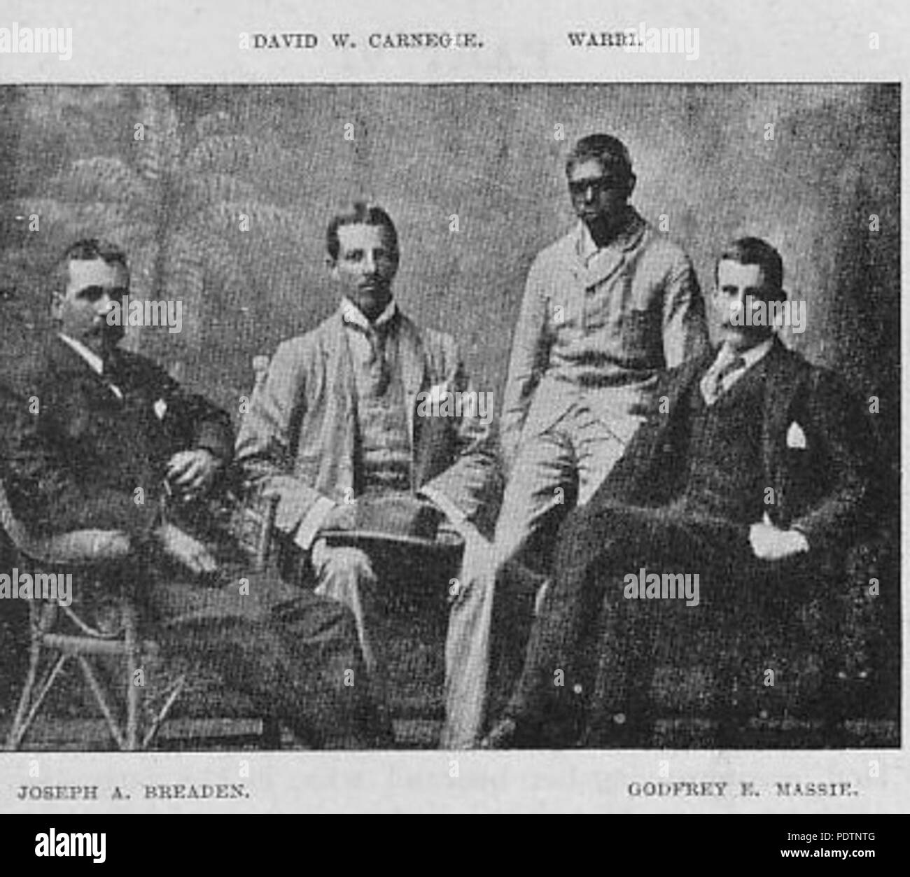 196 Spinifex e sabbia Illustrazione 41 Foto Stock