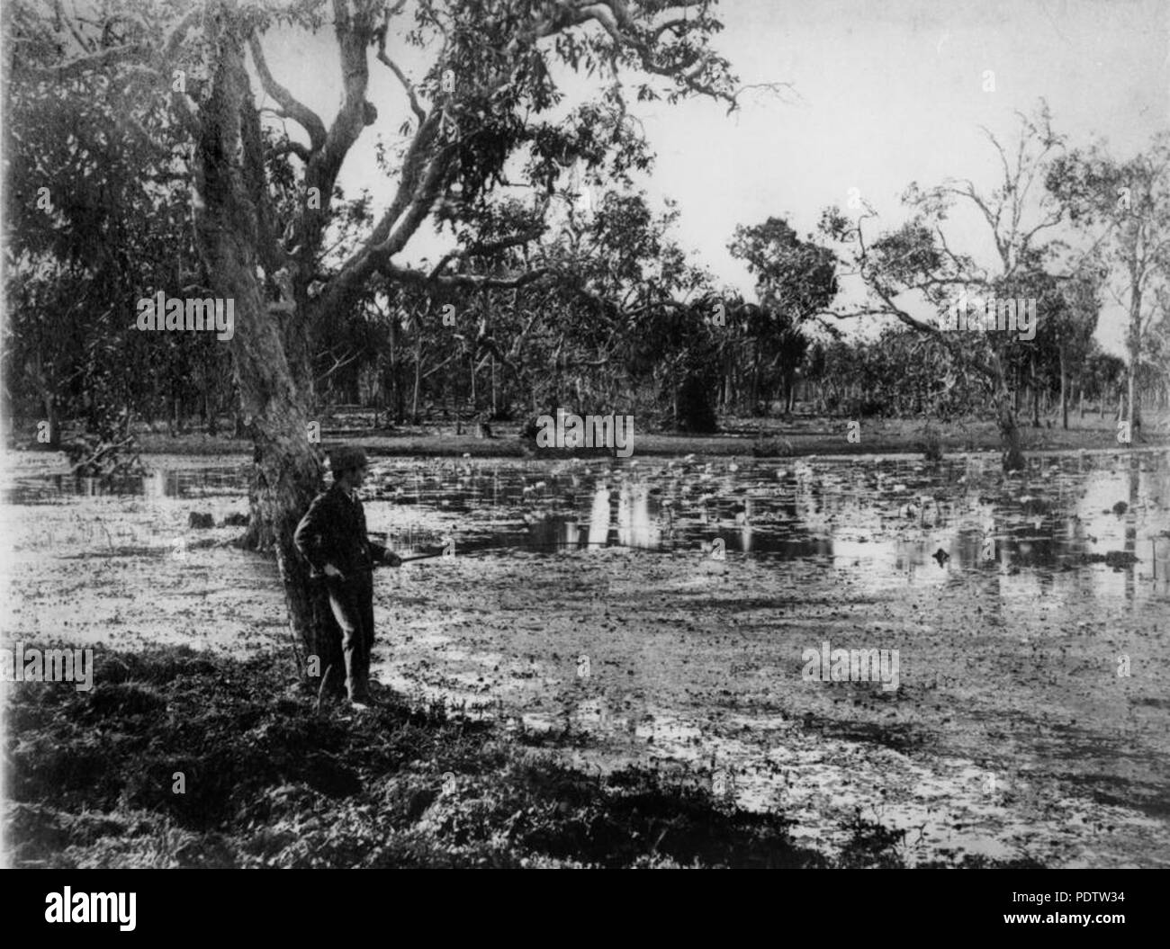 207 StateLibQld 1 113584 l uomo si appoggia contro un albero di pesca in Lily Creek, Queensland, ca. 1892 Foto Stock