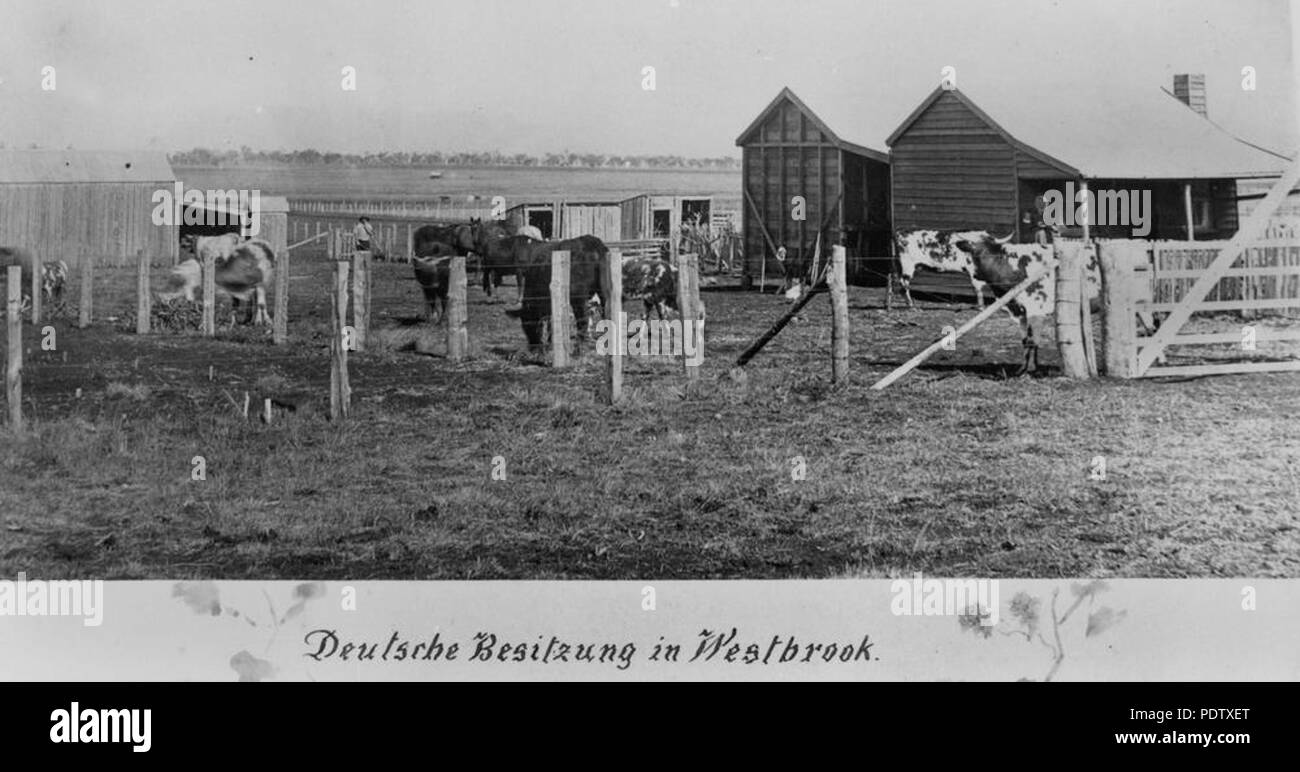 212 StateLibQld 1 123150 Farm in tedesco la zona di insediamento in Westbrook, Queensland, ca. 1896 Foto Stock