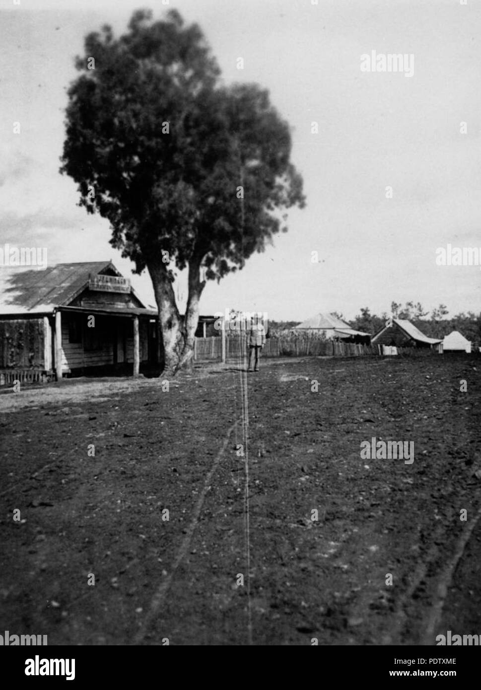 213 StateLibQld 1 124461 Oak Street, Barcaldine, Queensland, ca. 1905 Foto Stock