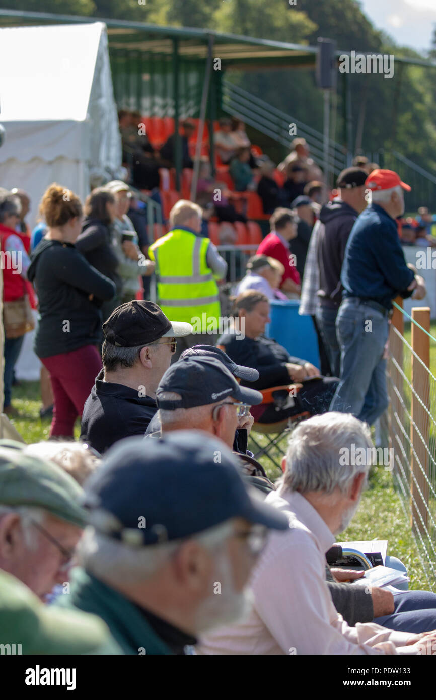 Gli spettatori a guardare il National Sheep Dog processi tenuti a Nannerch, Flinthsire, Galles Foto Stock