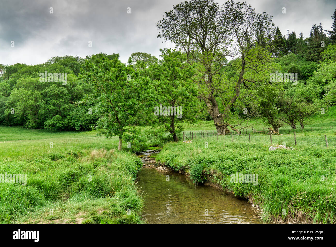 Una corrente che fluisce attraverso il verde della campagna. Foto Stock